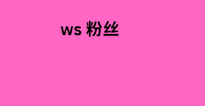 ws 粉丝