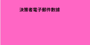 決策者電子郵件數據